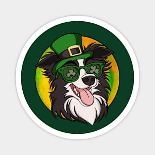 Irish Border Collie Magnet